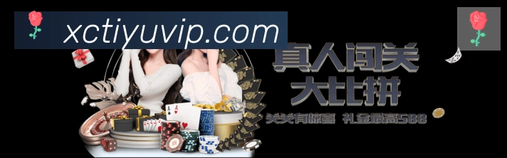 互动解说服务